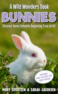 Teaches about rabbits from their first day of life and follows how they grow, communicate, and protect themselves.